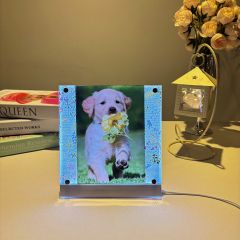 LED Photo Frame Wild Flower Photo Replaceable GLS009