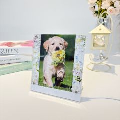 LED Photo Frame Wild Flower Photo Replaceable GLS009