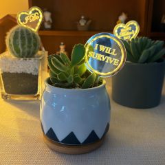 "I WILL SURVIVE" LED Plant Pick - Perfect Gift for Plant Lovers, Housewarming & Birthdays FGXCT002
