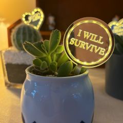 "I WILL SURVIVE" LED Plant Pick - Perfect Gift for Plant Lovers, Housewarming & Birthdays FGXCT002