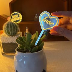 Custom LED Plant Pick - Uplifting Houseplant Gift for Her, Birthday, Housewarming, Plant Lovers FGXCT003