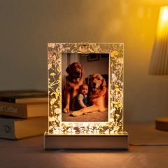 LED Acrylic Photo Frame Photo Replaceable GLT011