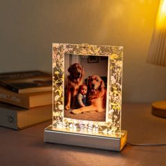 LED Acrylic Photo Frame Photo Replaceable GLT011
