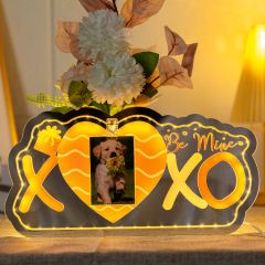 Love Gift Led Photo Frame Flower Vase Greeting Cards All In One GLS003